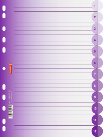 detail Rozlišovač do šanonu A4, 12 oddílů, fialový