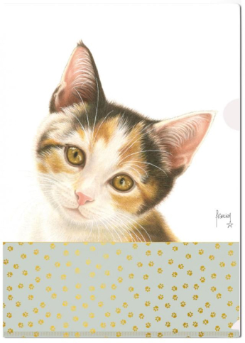 detail L-desky fóliové A4, Francienova koťata