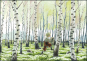 náhled Ilustrace 21x15cm, V březovém lese