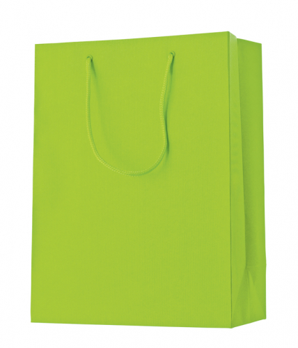 Dárková taška 25x13x33cm A4+, One Colour, světlá zelená