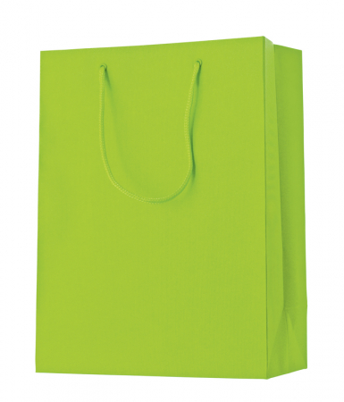 detail Dárková taška 25x13x33cm A4+, One Colour, světlá zelená