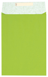 detail Dárkový sáček papírový 22x5x30+6cm A4+, Uni světle zelený