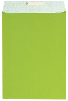 detail Dárkový sáček papírový 32x6x43+6cm A3+, Uni světle zelený