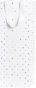 náhled Dárková taška 13x13x37cm, Hvězdičky třpyt, bílá