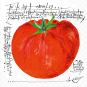 náhled Ubrousky 33x33cm, 20ks, Červené rajče