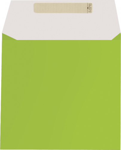 Dárkový sáček papírový 17,5x4x16+6cm A6+, Uni světle zelený