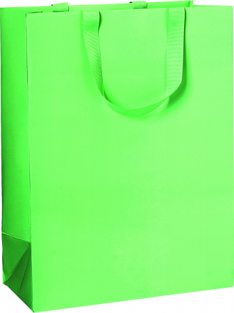 detail Dárková taška 25x13x33cm A4+, Zelený svit