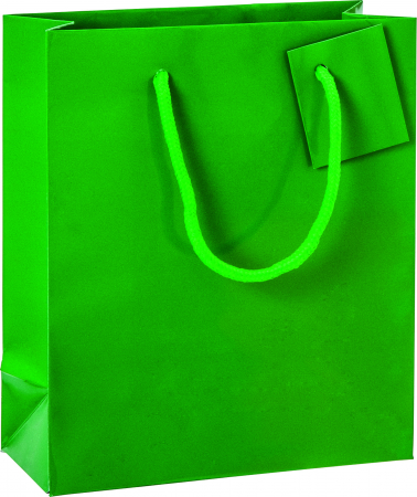 detail Dárková taška 18x8x21cm A5+, Sváteční zelená s leskem