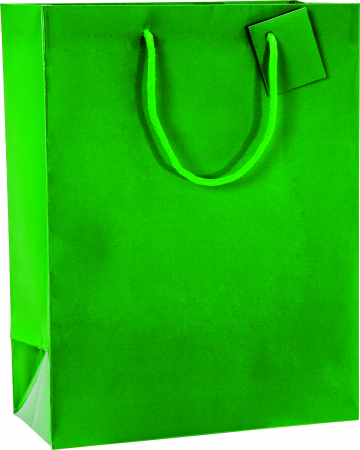 detail Dárková taška 25x13x33cm A4+, Sváteční zelená s leskem