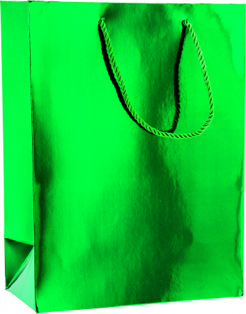 detail Dárková taška 25x13x33cm A4+, Lesklá zelená se šňůrkou