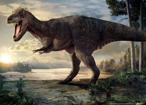 Plakát v tubusu 50x70cm, Tyrannosaurus Naturalis