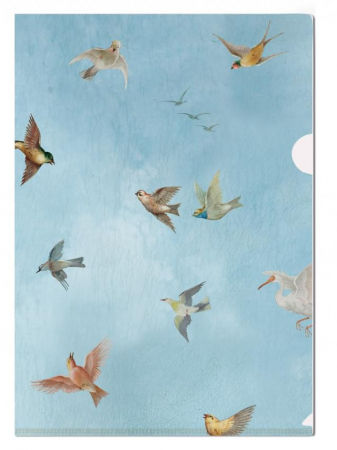 detail L-desky fóliové A4, Obloha s ptáky, stropní malba